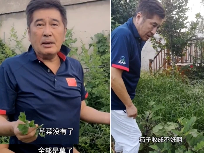 金窝不如你的老窝!五星在农村养老,种地,摆摊,建别墅